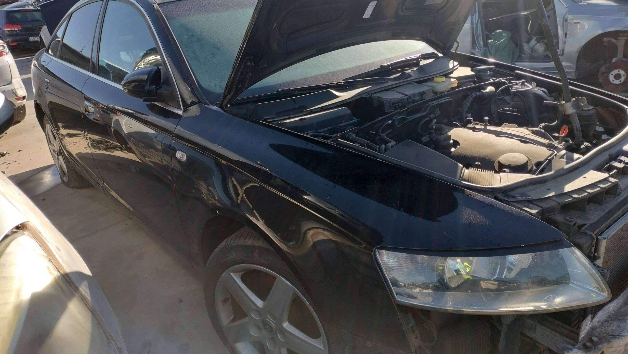 Amortiguador delantero derecho audi a6 berlina (4f2)(2004->)