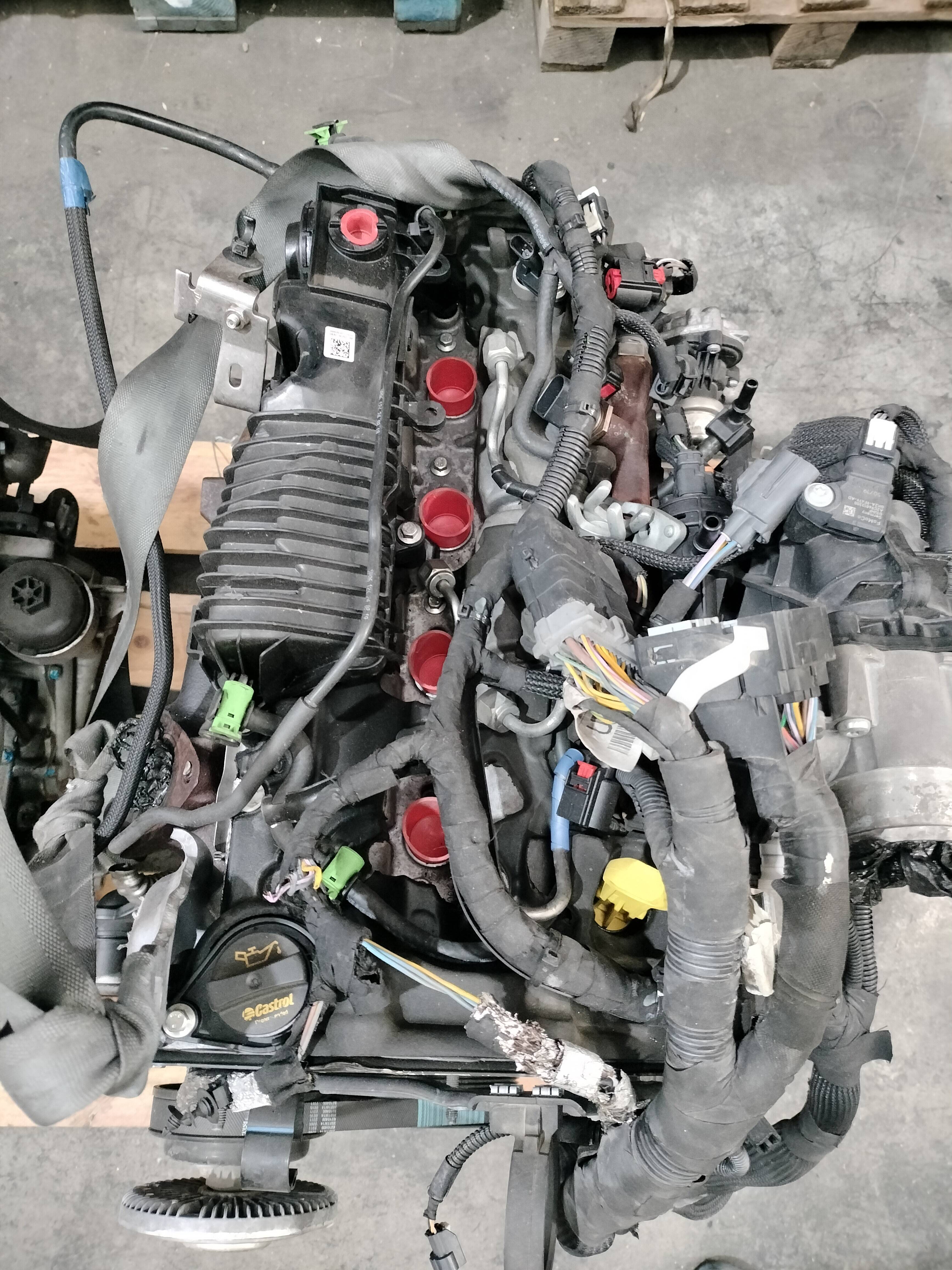 Motor completo ford transit furgón (ttg)(2013->)