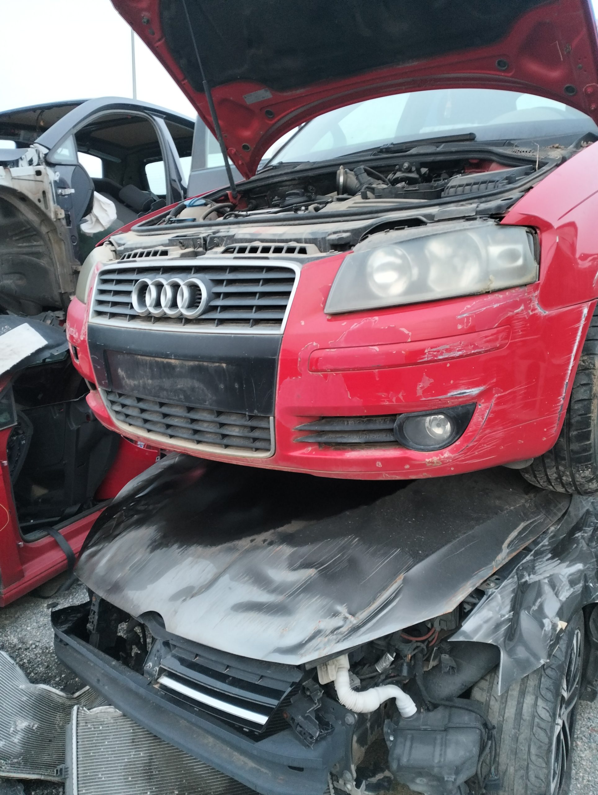 Frente de fibra audi a3 sportback (8pa)(09.2004->)